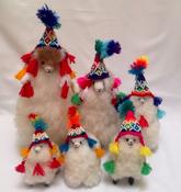 Super Mini Alpacas image