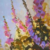 Summer Foxgloves image