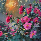 Midsummer Light image