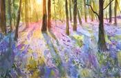 Wild Bluebells image