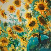 Summer Gold image