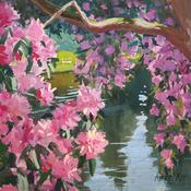 Blossom and Reflection