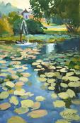Shelton Pond image