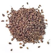 Anise