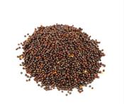 Brown Mustard Seeds image