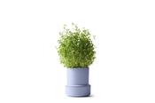 Crushgrind | Billund Self-Watering Pot Lavender