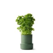 Crushgrind | Billund  Self-Watering Pot Parsley image