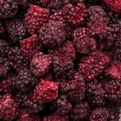 Drink Botanicals| Freeze Dried Blackberries image