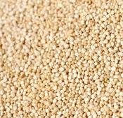Organic Quinoa Pops