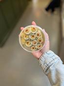 Lilliput | Anchovy Banderillas with Olives