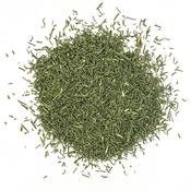 SonnentoR | Dill