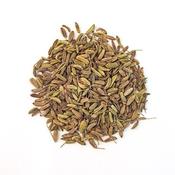 SonnentoR | Whole Fennel Seeds