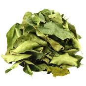 Curry Leaves