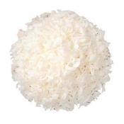 Desiccated Coconut organic