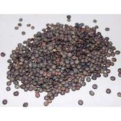 Lentils Vert