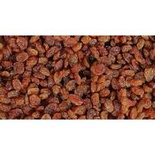 Turkish Sultanas