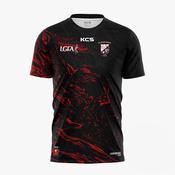 St Pauls Delvin LGFA Alternative Training Jersey image