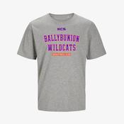 Ballybunion Wildcats KCS Detroit Tee - Grey image