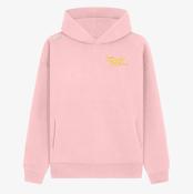 Athlone Tri Club KCS Apollo Relaxed Fit Hoodie - Baby Pink image