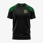 Ballyduff GAA KCS Apollo Tee - Black / Green
