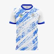 Carlow Town Camogie Training Jersey image