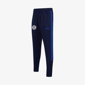 Carlow Town Hurling and Camogie Club KCS Atlanta Track Pants - Navy / Royal image