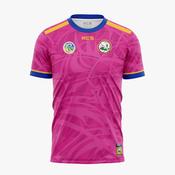 Castlepollard Hurling &amp; Camogie Training Jersey - pink image
