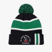 Na Fianna Boxing Club KCS Champion Beanie - Black / Green / White image