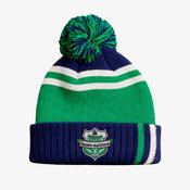 Drumraney Camogie Club KCS Champion Beanie - Navy / Green / White image