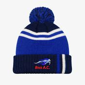 Bree AC KCS Champion Beanie - Navy / Royal / White image