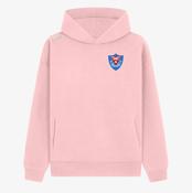 Coláiste Choilm Tullamore KCS Apollo Relaxed Fit Hoodie - Baby Pink image