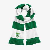 O'Tooles GAA KCS Scarf - Green / White image