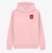Killenaule GAA KCS Apollo Relaxed Fit Hoodie - Baby Pink image