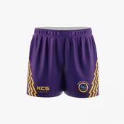 Lough Lene Gaels Hurling Club Training Shorts image