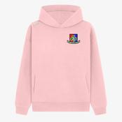 Shamrocks GAA Offaly KCS Apollo Relaxed Fit Hoodie - Baby Pink