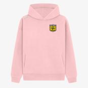 St. Brigid's Gaels Longford KCS Apollo Relaxed Fit Hoodie - Baby Pink