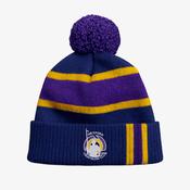Wexford Triathlon Club KCS Champion Beanie - Navy / Purple / Gold image