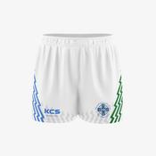 The Saints Hurling Club Meath Training Shorts image
