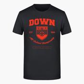 Down County T-Shirt image