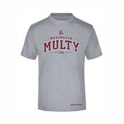 Multyfarnham GAA KCS Detroit Tee - Grey image