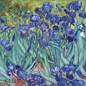 Irises ~ Vincent Van Gogh