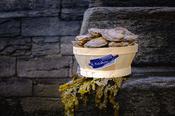 Wild Native Kelly Flat Oysters (1 doz) image