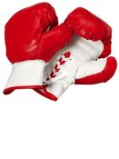 8oz Childrens Boxing Gloves