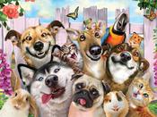 Pets Selfie 500 Piece 3D Puzzle image