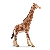Schleich Giraffe Male image