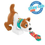 Fisher Price 123 Crawl With Me Puppy