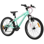 20 Inch Team Mountain Bike In Mint And Pink image