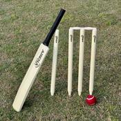 Arena Sports Wooden Cricket Set Size 3