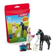 Schleich Horse Grooming Playset With Appaloosa Foal
42755 image