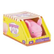 Stretchy Pig